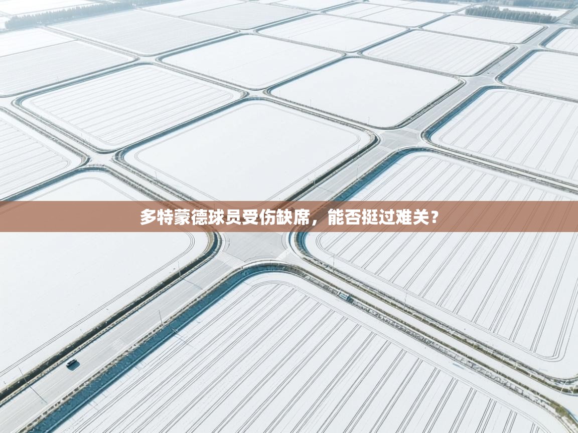 多特蒙德球员受伤缺席,能否挺过难关?