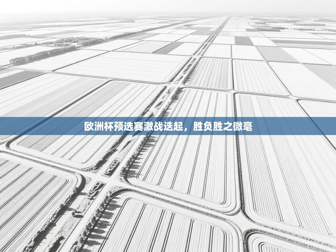 欧洲杯预选赛激战迭起，胜负胜之微毫  第1张