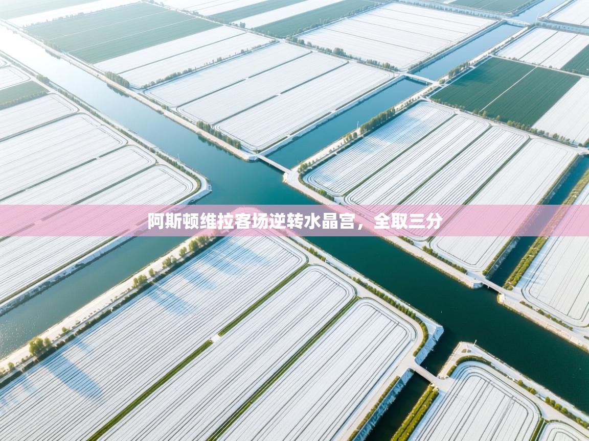 阿斯顿维拉客场逆转水晶宫，全取三分  第2张