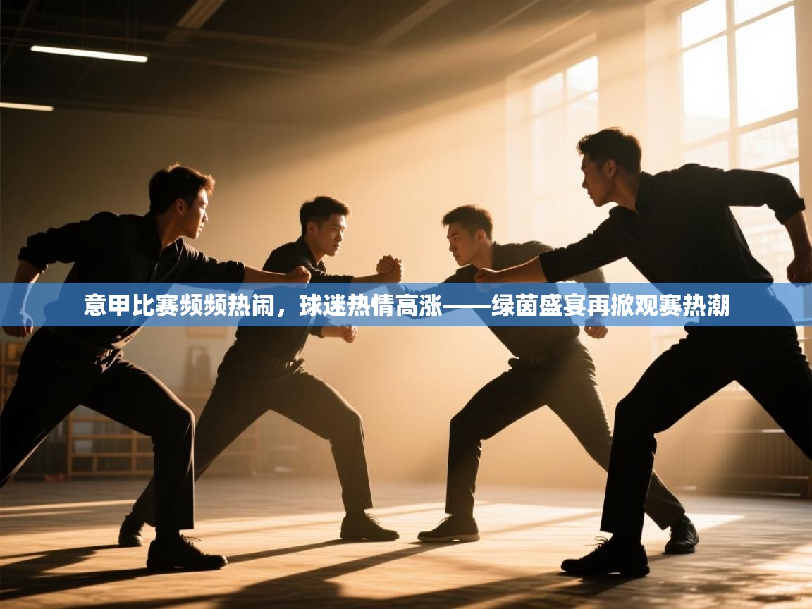 意甲比赛频频热闹，球迷热情高涨——绿茵盛宴再掀观赛热潮